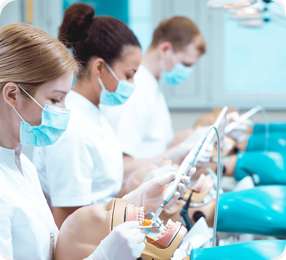 Dental students practicing on simulation models