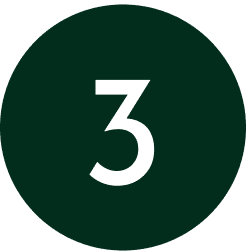 Frame 2095587423-1