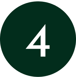Frame 2095587423
